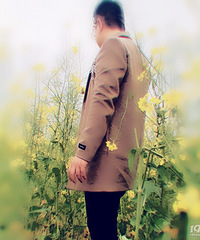 86��GG����175��������ʽ������85-92������