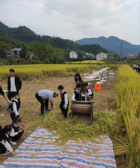 С���ѵļ����������飬�µ����������ո