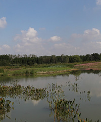 �ں�������һ�£����ﻷ����������������