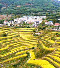 承包顶级秋色,带你走进“华东地区最美古村落”
