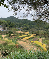 ��̨��ɽ���ϡ���Ϳ�Ŀ�������Сʱ