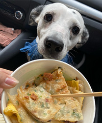 ȫ���Ұ���óԵĴ��ͱ���û��֮һ