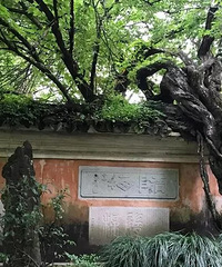 ��̨�����£������кܶ���������ַ