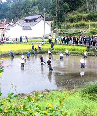 һ������Ӱʦ����񡱵�����Сɽ�壬��ֵ̫��