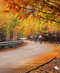 �����������ŵ�����������������һ��