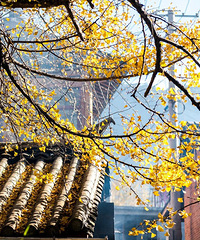 ��ɫ������10���������˾�ȥСס����...