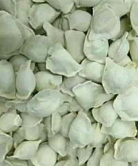 ���۸��᡿���������ɢ�Ƶ�ˮ�Ⱥ���Բ�͸����䶳������