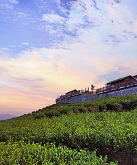 ���֮�ǣ��������˺��Ķ�