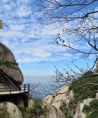 �ž������ݵزأ��Ǹ߾Ż�������