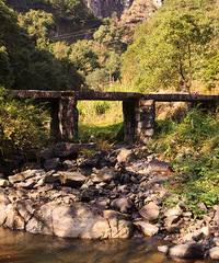 �ٺ�������-��·ͷˮ��ɹͼ