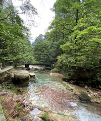 ˾�����μǣ�2020�߹��żҽ�֮���ڇ�;