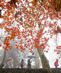 Ũ�������վ�����������11�µ�ʢ��������