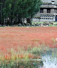 ���������ء������Լ���һ�� ����Ѱ��·֮����Ĵ��չ�