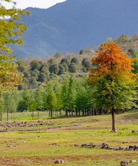 �㽭����������ɽ��·����羰��������