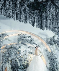 �������ʮ�����񼾣���ѡ���������������