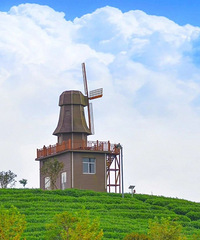 �ٺ���������1Сʱ����Ķ��԰�������ޣ���Ҷ��������