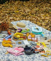 ����Ұ�ͣ�С���ֵ���Ҷ��ɫ�ʻ��Ǻ�Ư����