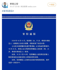 22��ʧ��Ů��ʦ������΢������������ը��