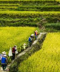 ɫ�ʰ�쵲ز�ס�ˣ��������������ġ��������顱����ը�ѣ�