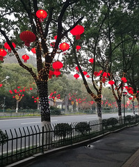 ����Ǳ�������ڶ����ͥ���ݣ���Ů����˵����ĸ���Ʋ�˵�ơ�