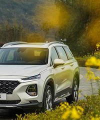 [����]��̥��ͥ���������£��̵���Щ��̥����