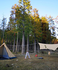 �����ã�����¶Ӫ��