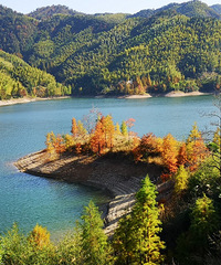 �����ã�����¶Ӫ��