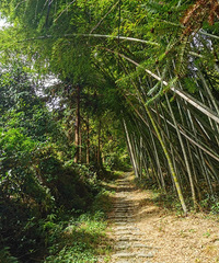 ����̫���⣬�ر��ʺ������ˬ������ȥ