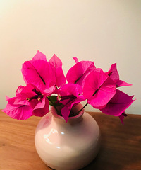 �����������ô����