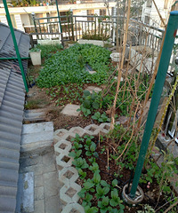 82�����GG�ڽ�����985���Ʊ�ҵ������ҵ����1w