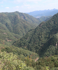 ����ʮ��̶����+�����԰����ᮡ���ᮻ���