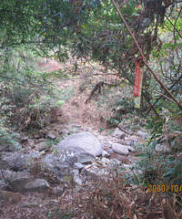 ����ʮ��̶����+�����԰����ᮡ���ᮻ���