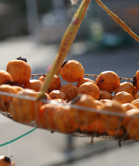 ����������ˣ��и��������������Ӹɺ���÷��