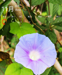 ʮһ�£���ã�