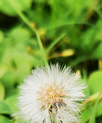 ʮһ�£���ã�