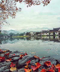 ��CNN��Ϊ���й�������NO.1���������ﾰ���ˣ�