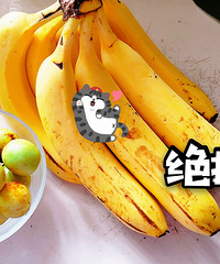 ��û�г��Թ������ϣ�����ζ�����ԭ�ط���