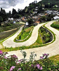 �㽭������ߵĴ��䣬���Ǹ��ƺ���ġ�������Դ����