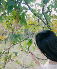 ���۸��᡿����2000�Ż�ȯ�����ỹ�ǵã�