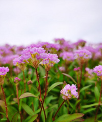 ޤ�������������ޤ����ʮһ�µ�����