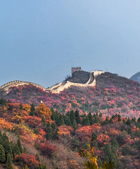 11�£��ҽ�����һ��Ҫȥһ�α���