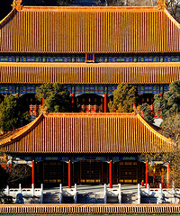 11�£��ҽ�����һ��Ҫȥһ�α���