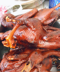 ����16ֻѼ��±��������æµ��һ����