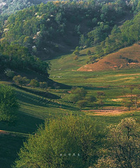 ����������һ����Ƭ��ȫ�й��������ˣ�