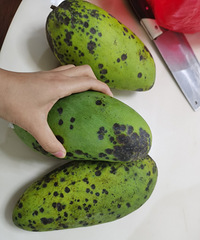 �������â��ȫ�Ǻڰߣ���������Ҳ�ǿӰ�