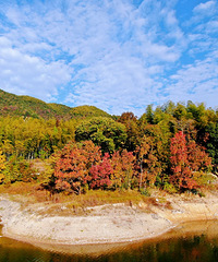 ���麽�ĵ��ӽ�