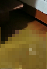 �������ˣ�700�����·�������ס���㽭Ůҵ������һ��������