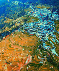 11�£��ҽ�����һ��Ҫȥһ�ι���...