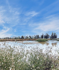 ���죬�߽���������ʪ�ع�԰