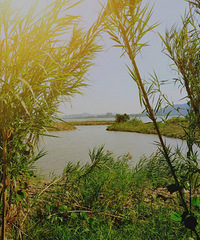 ���죬�߽���������ʪ�ع�԰